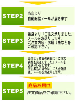 STEP2-5